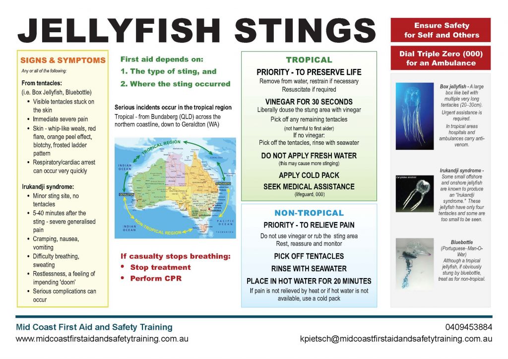 Jellyfish Stings Chart