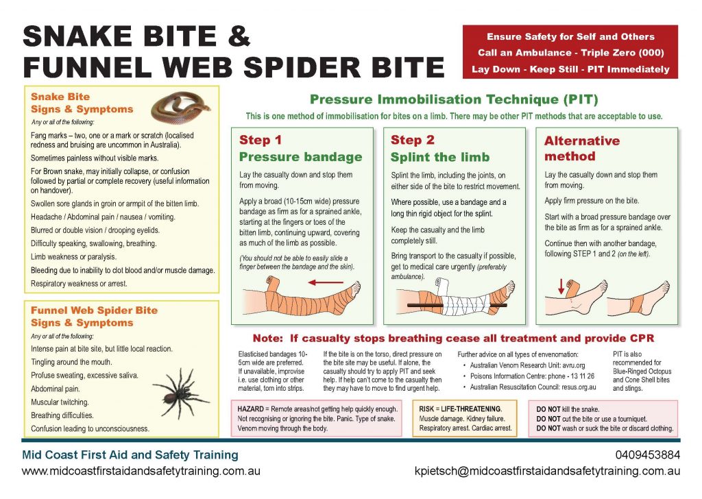 Snake Bite CHart